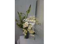 white orchids with coral